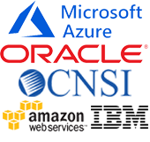Technology Partners Microsoft, Oracle, CNSI, IBM, AWS